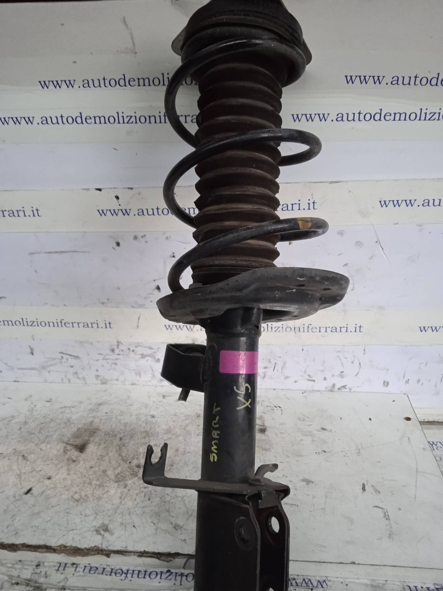 Ammortizzatore ant. sx.